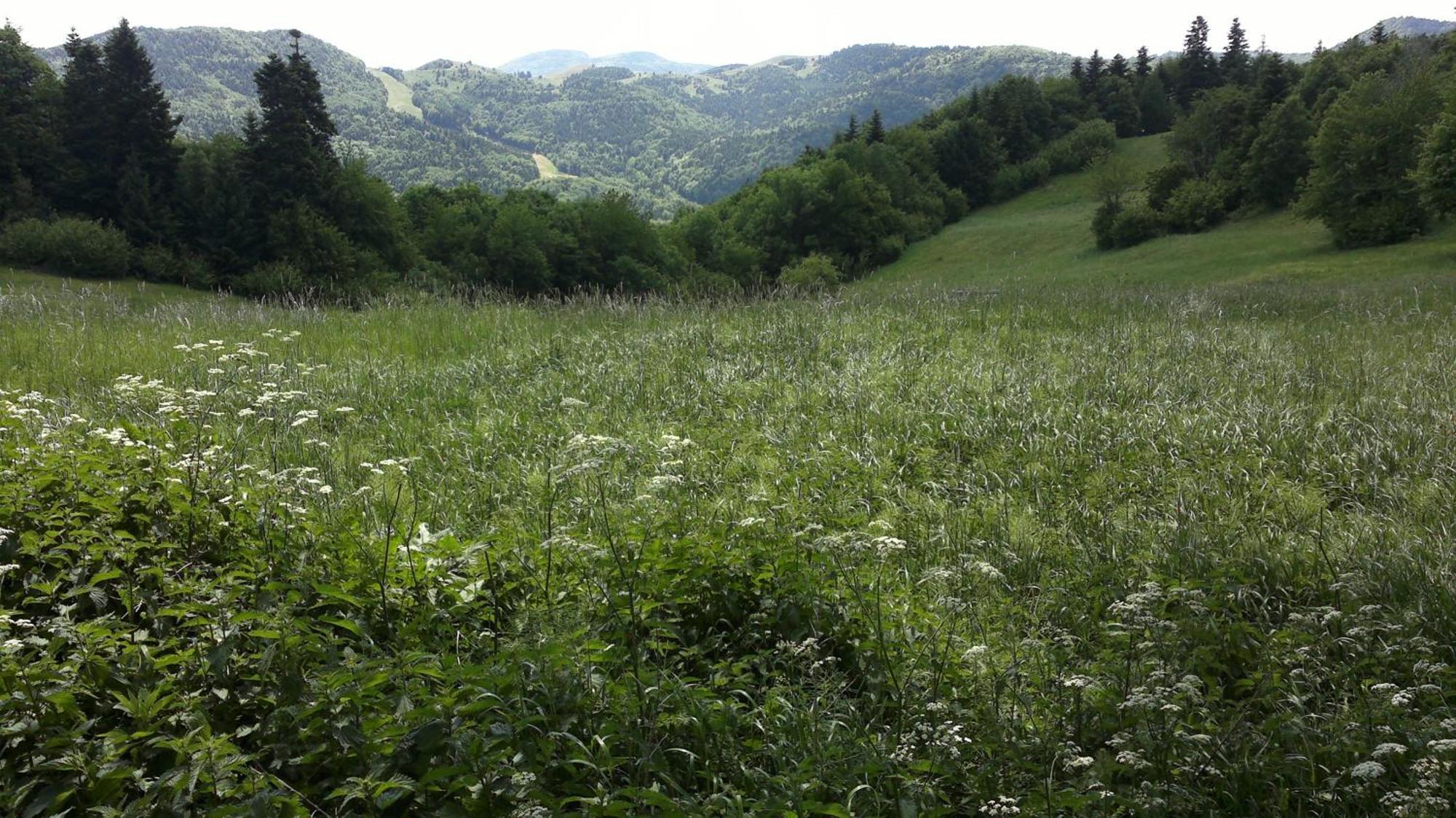 Apartmany Weissov Dom Banská Štiavnica エクステリア 写真